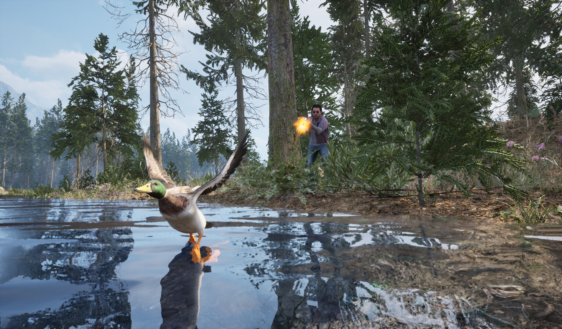 Online: 404 player firing toward a duck in a forest wetland